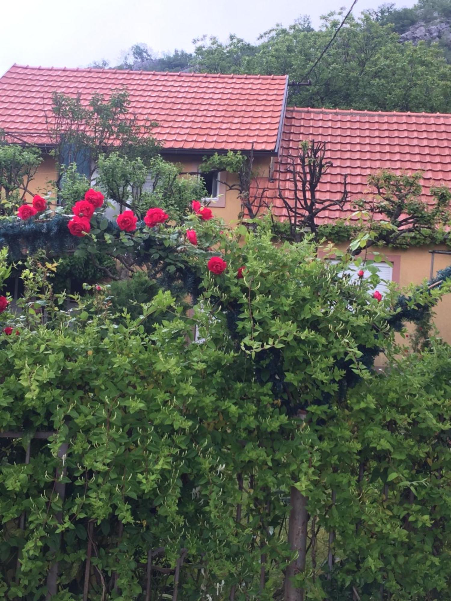 Apartman Lili Cetinje Exteriör bild