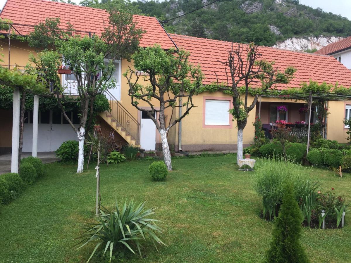 Apartman Lili Cetinje Exteriör bild