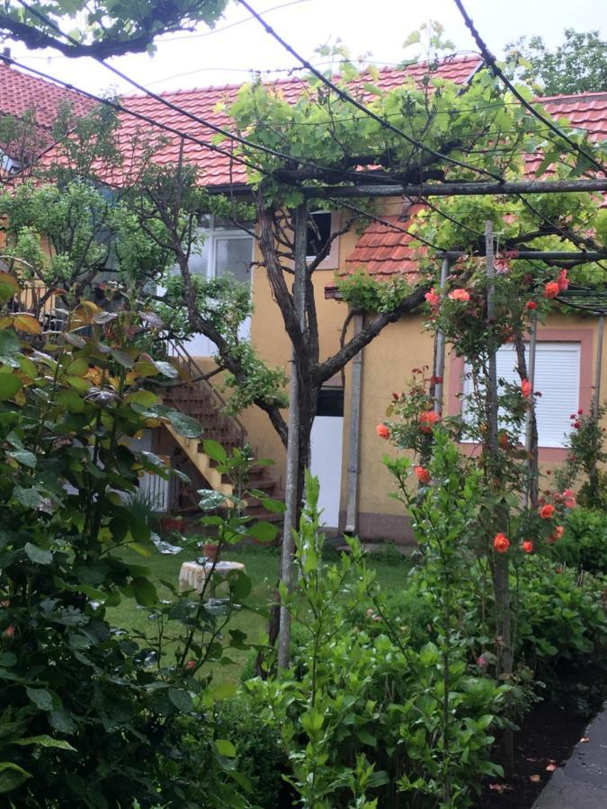 Apartman Lili Cetinje Exteriör bild